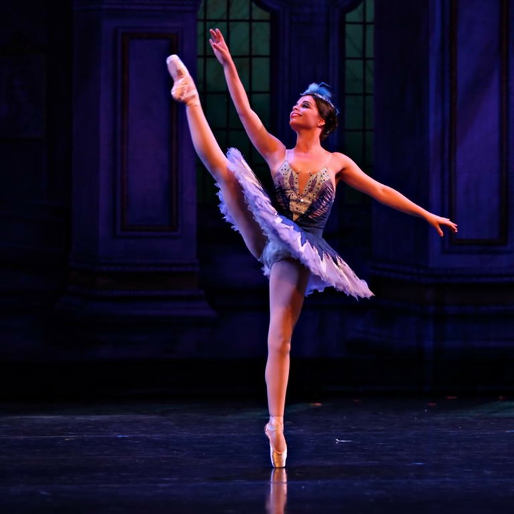 Bluebird - Teri Crilly