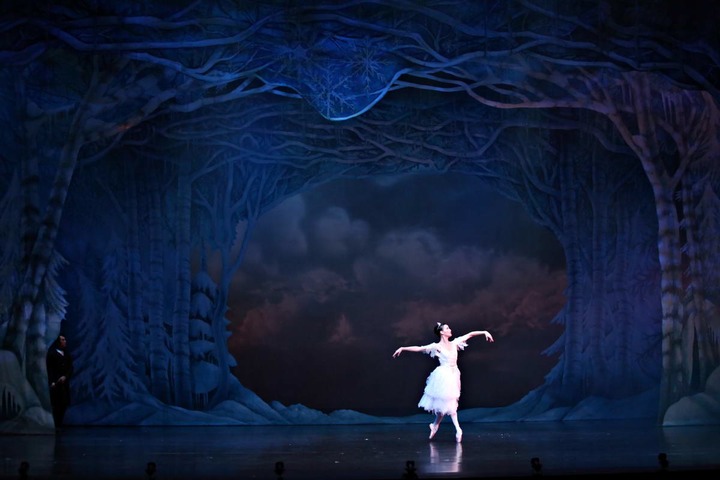 Journey in the Snow  - Rachael Walsh